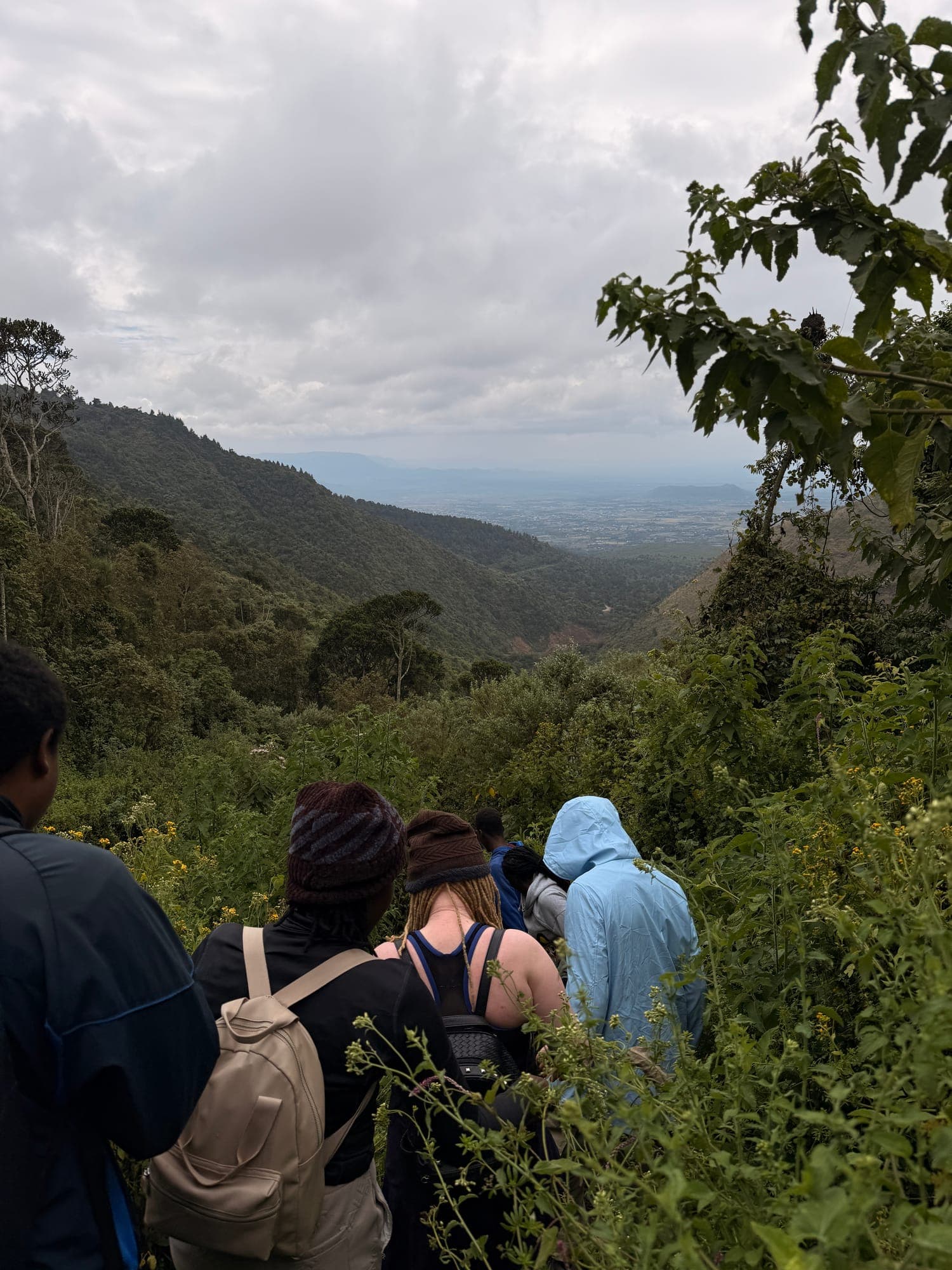 Hikers on a green hillside trail looking out over a misty valley