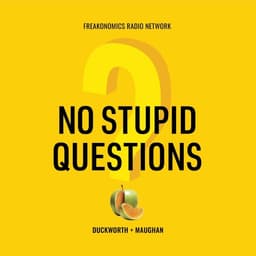 No Stupid Questions cover art